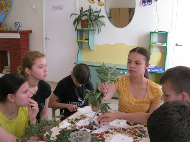 IMG 3174